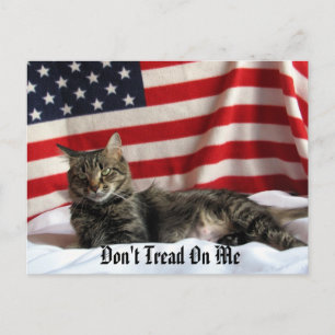 Nia's Political Opinion Postcard