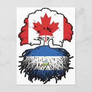Nicaragua Nicaraguan Canadian Canada Tree Roots Postcard