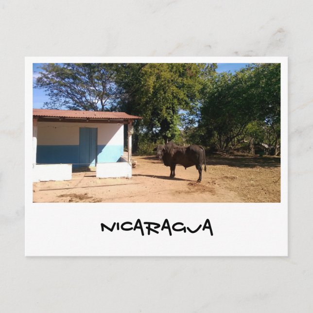 Nicaragua Postcard (Front)