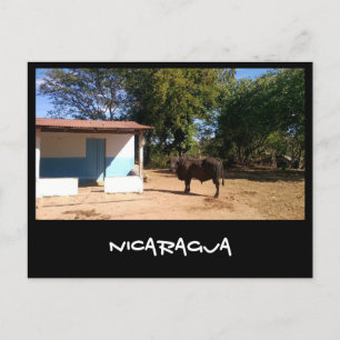 Nicaragua Postcard