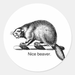 NICE BEAVER -.png Classic Round Sticker