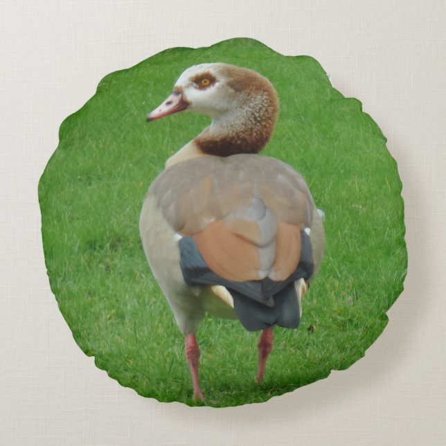 Nice Bird  Round Pillow (Back)