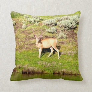 Nice Buck Deer in Velvet Photo Cushion
