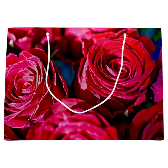 Nice Bunch Of Red Roses Large Gift Bag (Front)