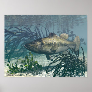 Nice Catch Poster