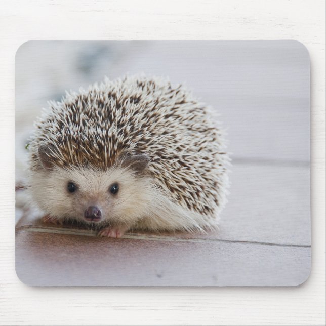 Nice hedgehog mouse pad (Front)