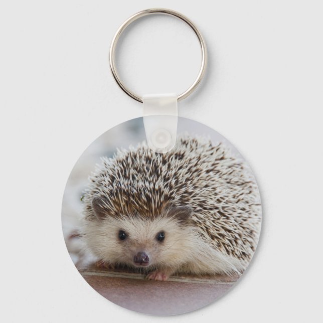 Nice hedgehog photo key ring (Front)