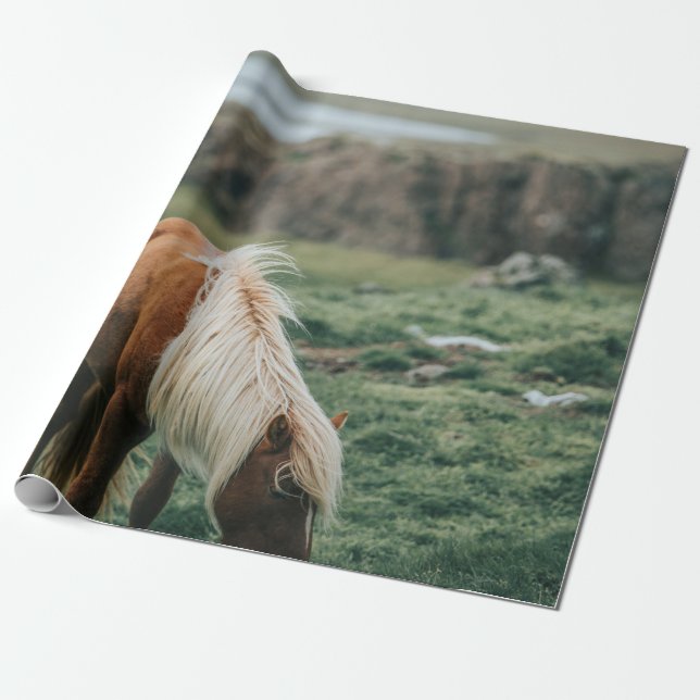 NICE HORSE WRAPPING PAPER (Unrolled)