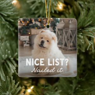 Nice list cute fun two photo pet ceramic ornament