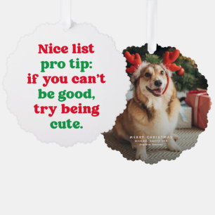 Nice list cute funny red green pet photo Christmas Tree Decoration Card