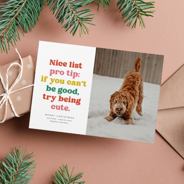 Nice list funny cute colourful photo Christmas Holiday Card (Creator Uploaded)