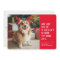 Nice list funny pet Christmas photo