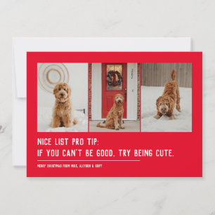 Nice list funny pet three photo Christmas Holiday Card