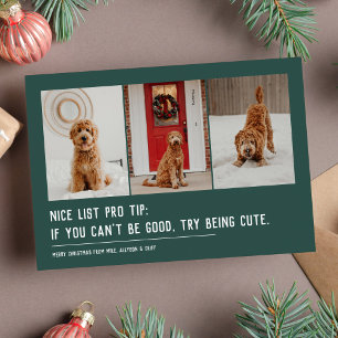 Nice list funny pet three photo green Christmas Holiday Card