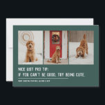 Nice list funny pet three photo green Christmas Holiday Card<br><div class="desc">A cute and clever holiday card design to send Christmas cheer. This three-photo funny Christmas card design with white text on green is perfect for dogs, cats or anyone else trying to get on the nice list. The wording reads "Nice list pro tip: if you can't be good, try being...</div>