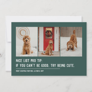 Nice list funny pet three photo green Christmas Holiday Card