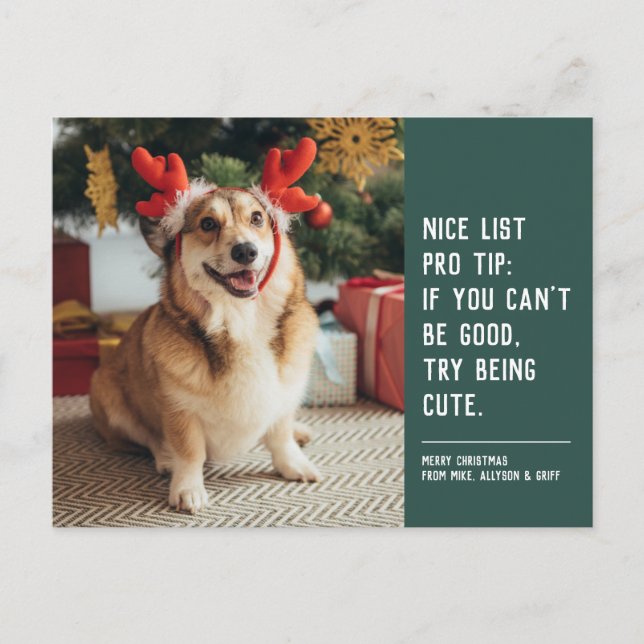 Nice list green funny cute pet Christmas photo Holiday Postcard (Front)
