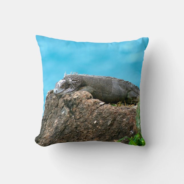 Nice Looking Iguana of St. Thomas U.S.V.I Cushion (Front)