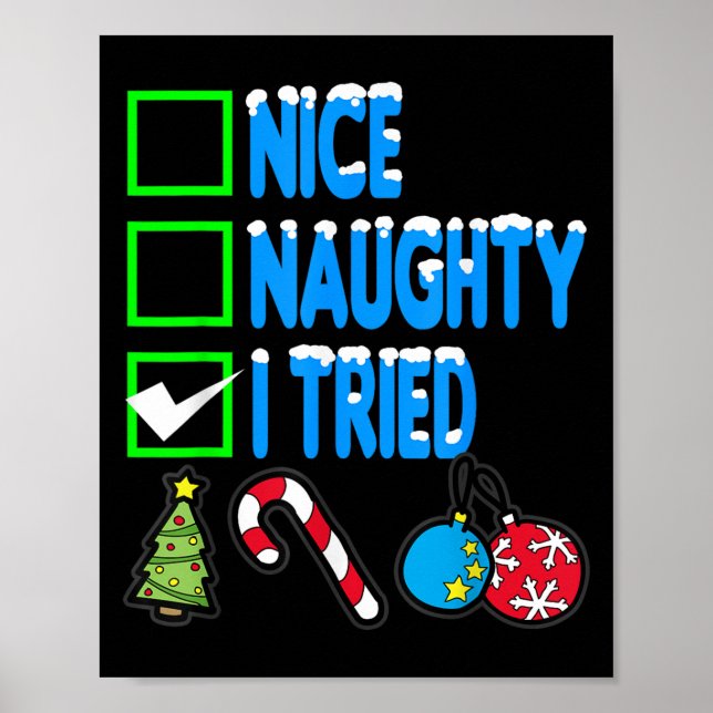 Nice Naughty I Tried  Poster (Front)