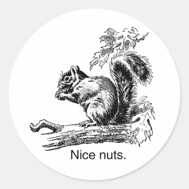 NICE NUTS -.png Classic Round Sticker (Front)
