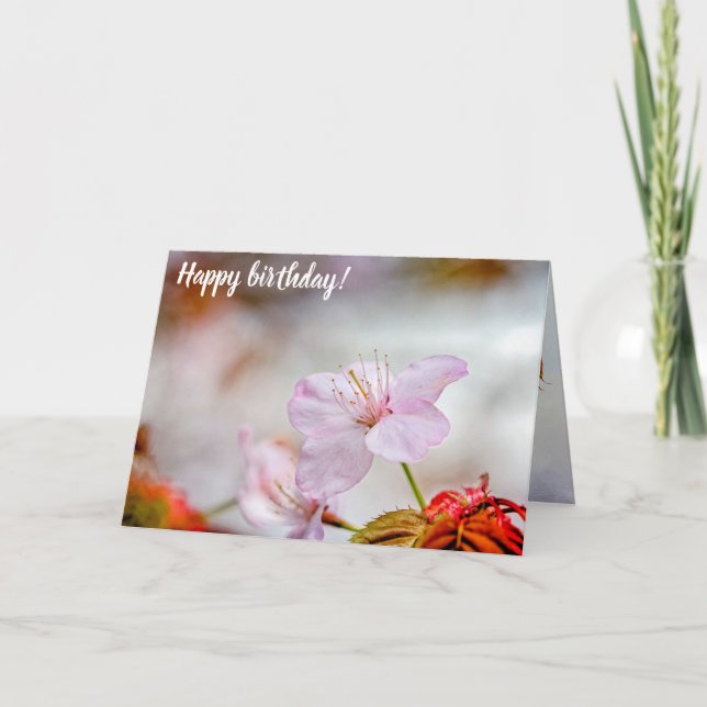Nice Soft Pink Sakura Flower In Springtime Card (Front)