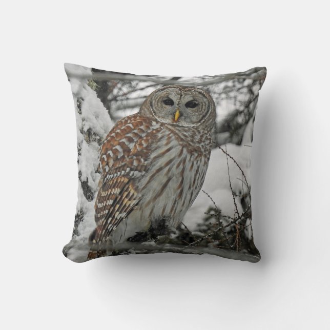 Nice striped cushion (Front)