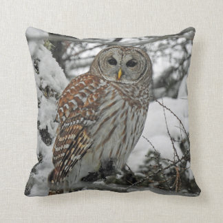 Nice striped cushion