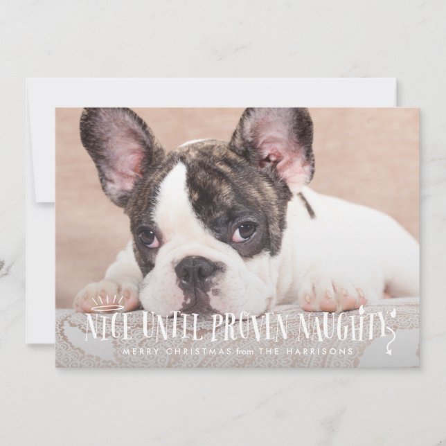 Nice Until Proven Naughty Funny Pet Holiday Card (Front)
