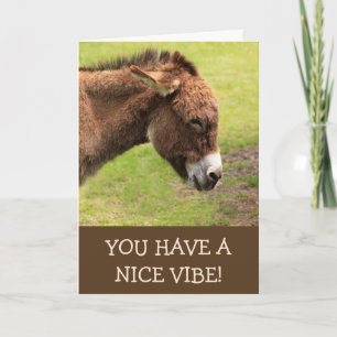 Nice Vibe Donkey Happy Birthday Card