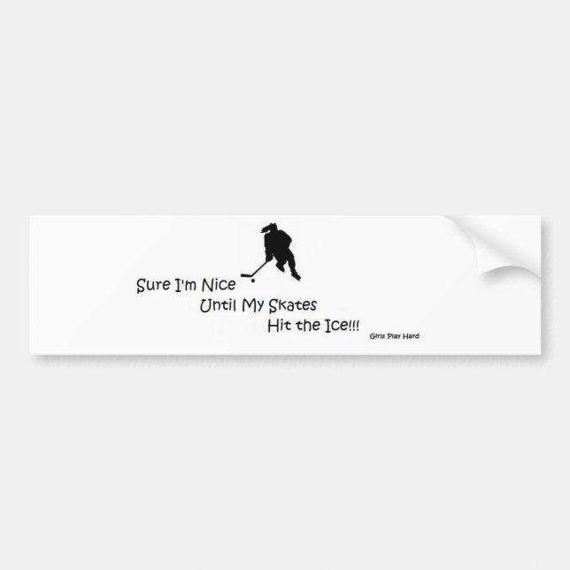 NiceIce2.jpg Bumper Sticker (Front)