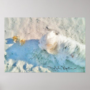 Nicholas & Friend Poster