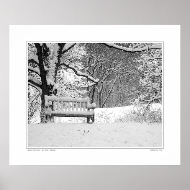 Nichols Arboretum #1 Poster (Front)