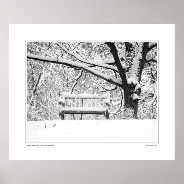 Nichols Arboretum #5 Poster (Front)