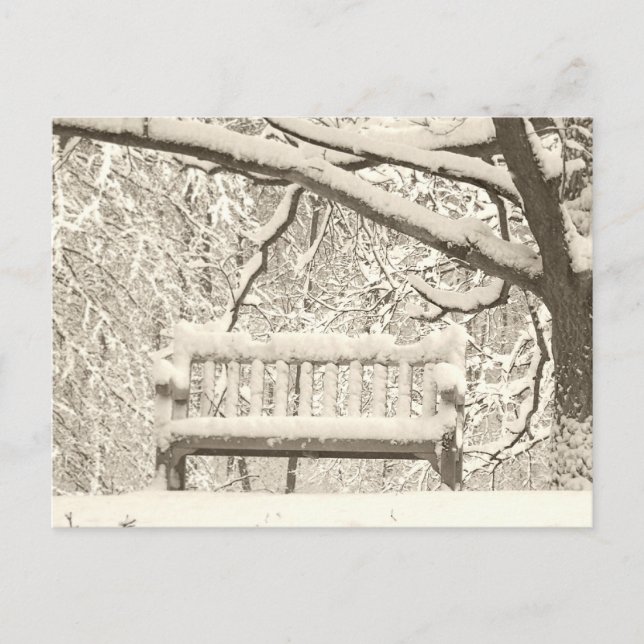 Nichols Arboretum Postcard (Front)