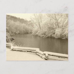 Nichols Arboretum Postcard