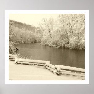 Nichols Arboretum Poster