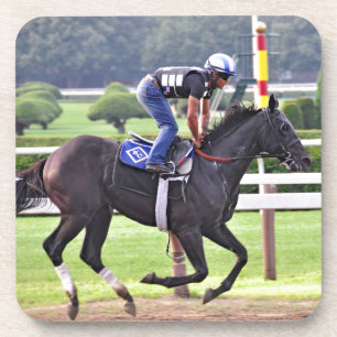 Nick Canini Workouts at Saratoga Coaster