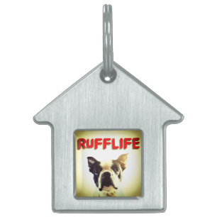 NiCK DAViD - RUFFLiFE IN BOSTON Dog Tag
