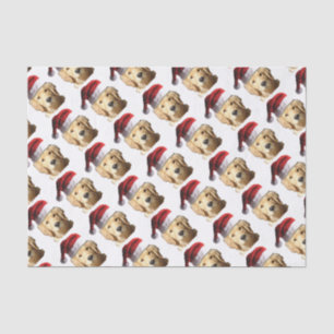 NICKEL-WITH-A-HAT-3 TISSUE PAPER
