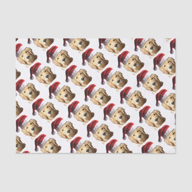 NICKEL-WITH-A-HAT-3 TISSUE PAPER (Front)