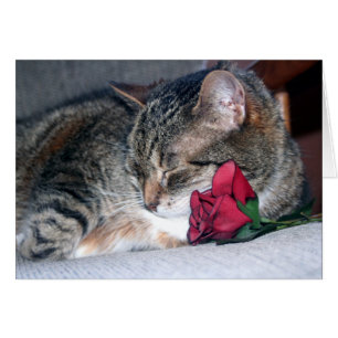 Nicky & A Rose