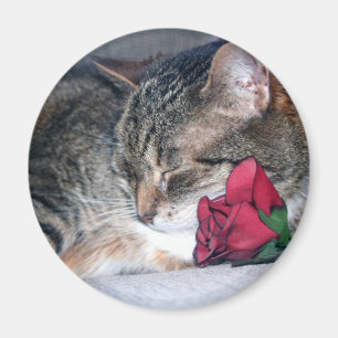 Nicky & A Rose Magnet