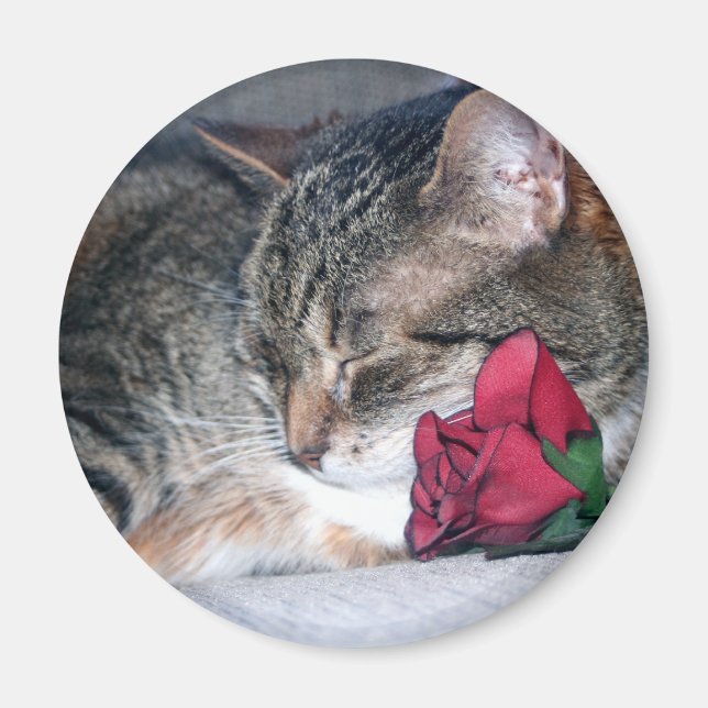 Nicky & A Rose Magnet (Front)