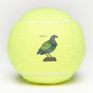 Nicobar pigeon bird cartoon illustration tennis balls