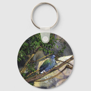 Nicobar Pigeon Key Ring