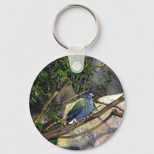 Nicobar Pigeon Key Ring (Front)