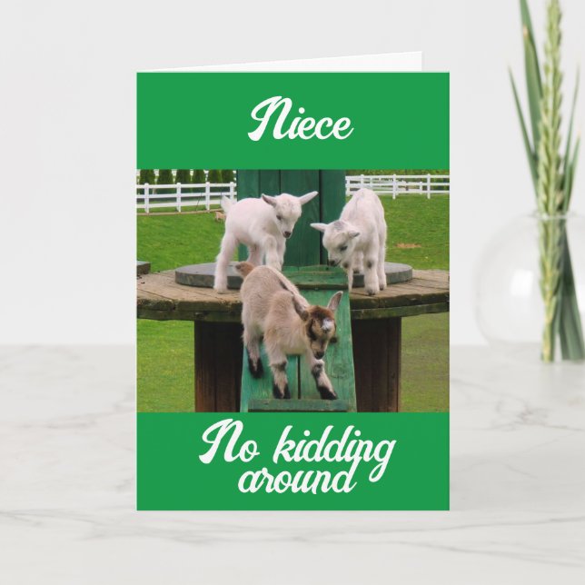 **NIECE** WHATEVER MAKES YOU HAPPY-BIRTHDAY CARD (Front)