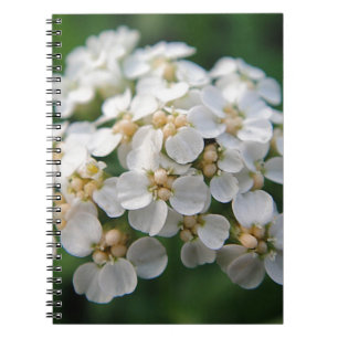 Niedliche weisse Blüten Notebook