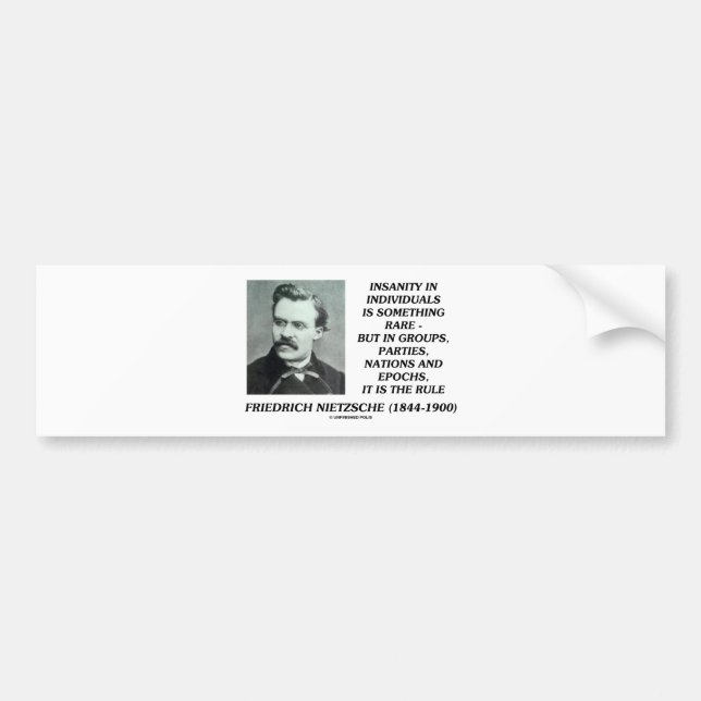 Nietzsche Insanity Rare In Individuals Quote Bumper Sticker (Front)