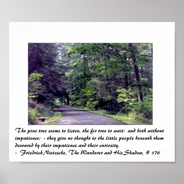 Nietzsche's Forest - poster (Front)